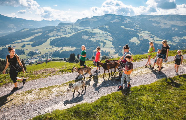 3 bedroom Apartment in Kirchberg in Tirol with garden - Photo 22