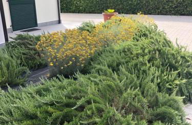 RTA La Pineta - Photo 30