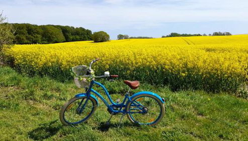 Ferienhaus Waldidyll - Erholung zwischen Schlei und Ostsee - Foto 3