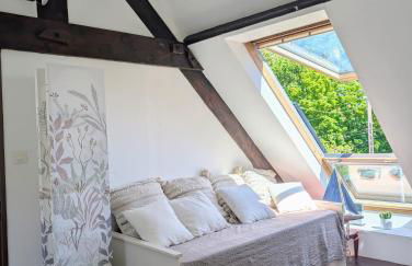 VIEUX PASSAGE, Maison avec cour privée à 150 m du PORT et de la PLAGE - Foto 13