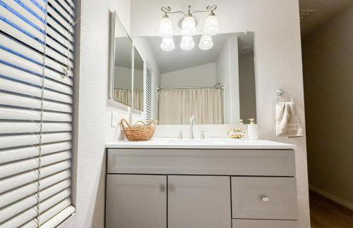 Cactus Bonito - Foto 24