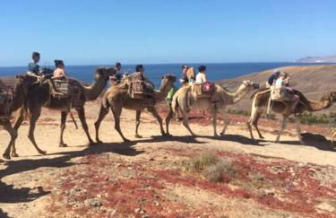 Beach front apartment with stunning ocean views! - Foto 32