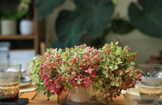 Maison design avec jardin Havre de paix aux portes de Paris & Disneyland - Foto 12