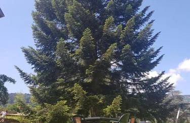 Appartement chaleureux 80m2 - Foto 12