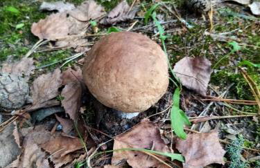 Chata u Żochów - Foto 57