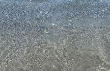 Appartamento Rosalba - Foto 19