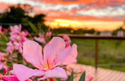 Aconchegante Apartamento de 2 Quartos - Foto 40