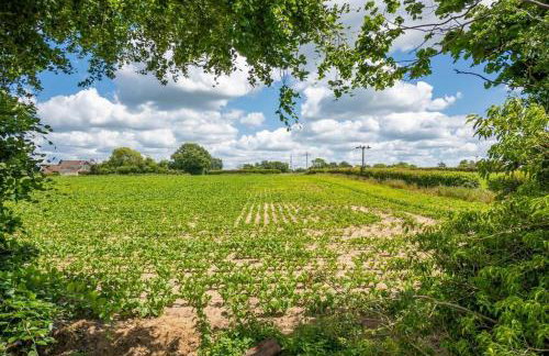 Kestral House - Foto 16