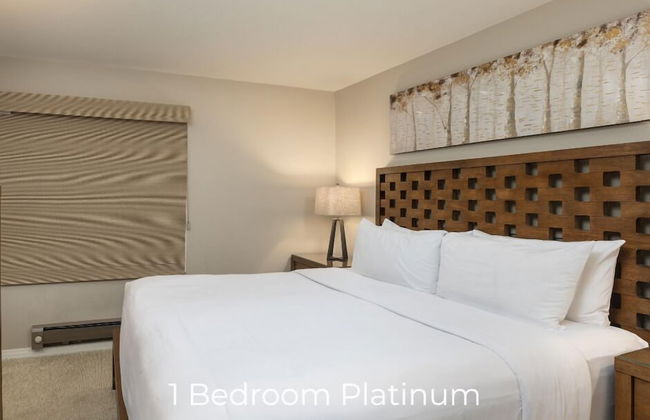 Montaneros in Vail - Foto 25