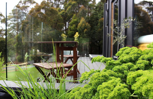 Compass Hut - Photo 52