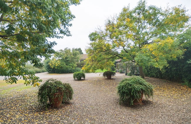 Apartment Near River Po and Cremona - Foto 32