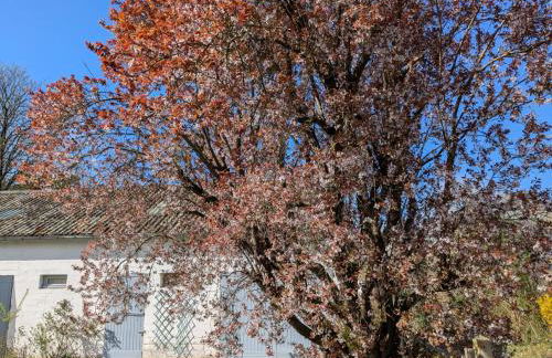 Maison familiale au cœur du Marquenterre - Foto 6