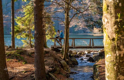 Schwarzwaldhaus Sonnenstraße, Oberried-Hofsgrund, Dreisamtal - Foto 25