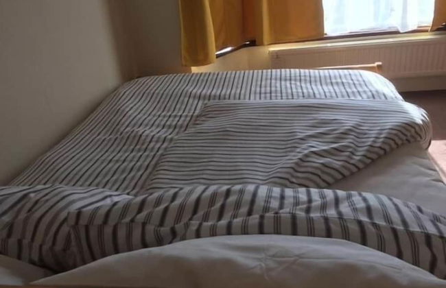 Le Buffle Noir Londres - Foto 4