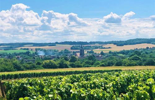 Le gite du pigeonnier - Foto 15