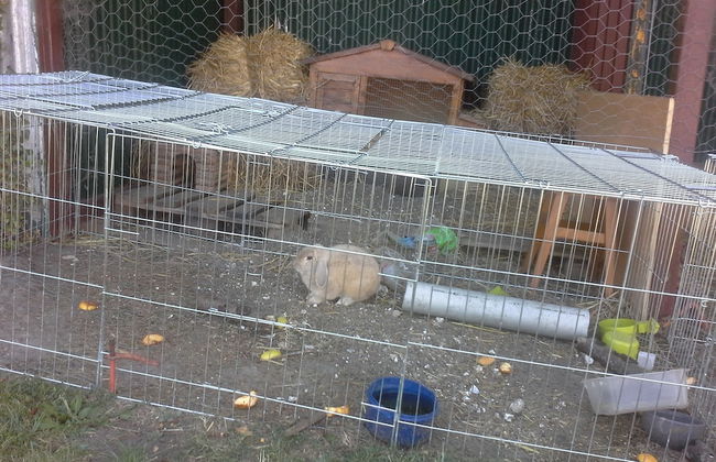 Roulotte et Gîte chambres d'hôtes - Foto 29