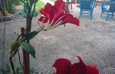 Agriturismo Il Melograno - Foto 43