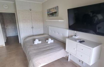 VIDABRAVA, Sagaro garden loft - Photo 16