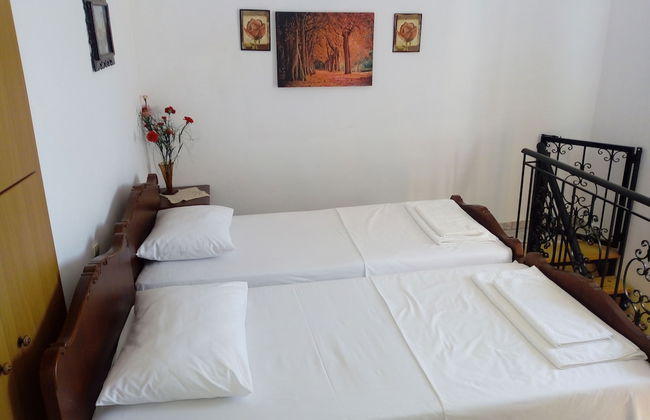 Garden Of Olive Trees - Photo 5