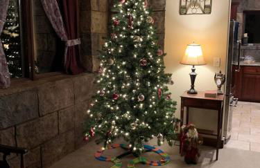 View Nauvoo and the Mighty Mississippi / Sidon - Foto 8