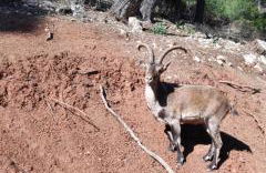 Alojamiento valeria - Foto 20