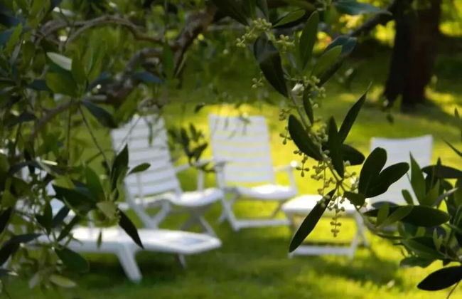 Agriturismo Campo al Sole - Foto 29