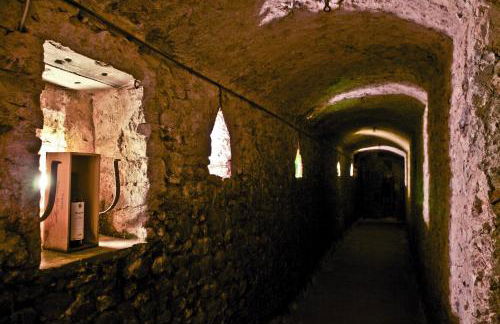 Fattoria Poggio Capponi - Foto 16