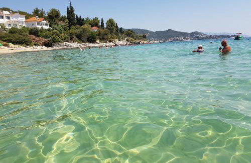 Stella's Garden - Foto 43