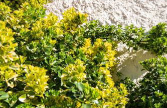 Casa indipendente Collecchio - Photo 22