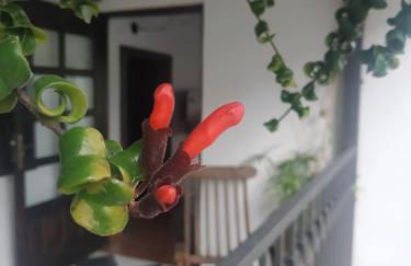 Finca Lomo Grande - Foto 45