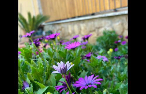 Summer House - Foto 45