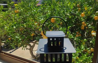 Viña da Igrexa, casa con jardin y barbacoa en cambados - Foto 27