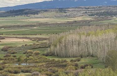 Red-tail Roundhouse at 22 West Cabins and Recreation - Foto 38