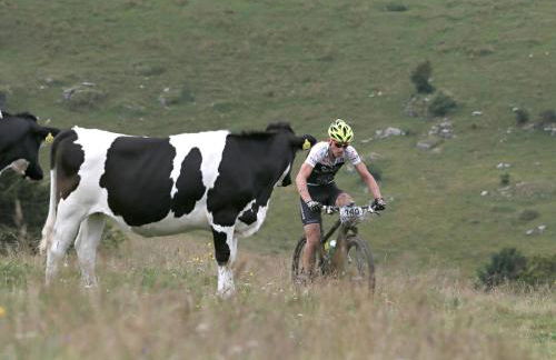 Residence Cimone SuperSci Polle-life - Foto 76