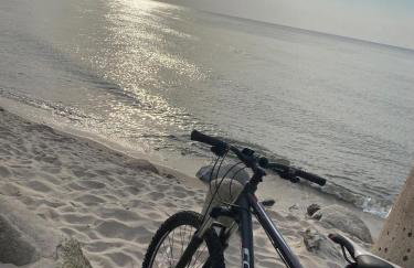 Siedlisko Wytowno - Foto 28