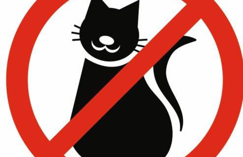 Gîte tante Jeanne - Foto 66