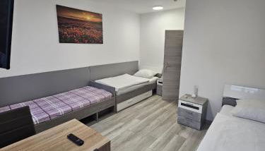 Pension & Ferienwohnungen Richter - Foto 4