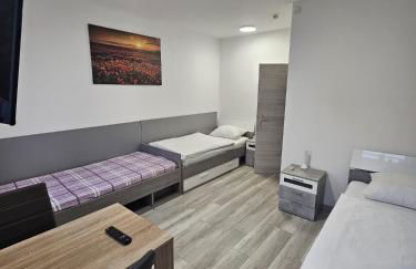 Pension & Ferienwohnungen Richter - Foto 4