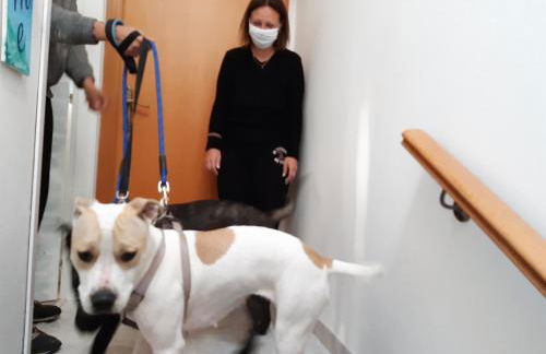 La Casa di Pamy - Foto 70