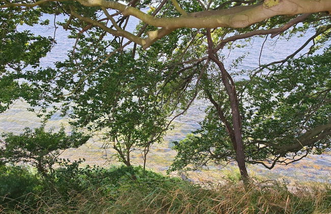 4 Person Holiday Home in Vordingborg-by Traum - Photo 8