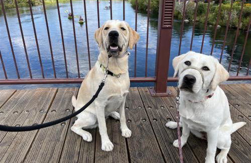 Bluebird Day - Canyon Retreat - Foto 31