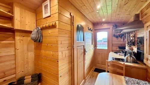 Zauberwagen am Geiseltalsee - Foto 5