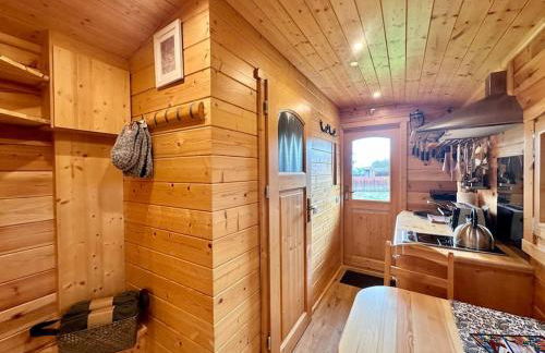 Zauberwagen am Geiseltalsee - Foto 5