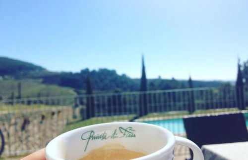 Quinta de Fiães - Photo 31