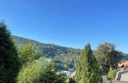 Ferienwohnung Adrion - Foto 28