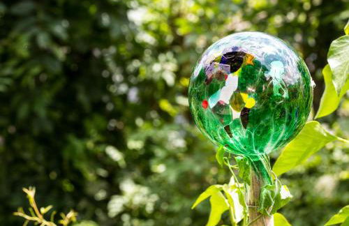 Landhaus Albrecht - Foto 24