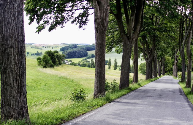 Ferienhaus Drebach - Foto 29
