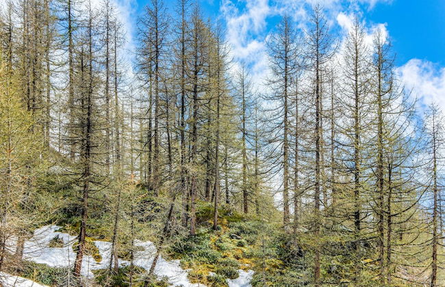 Apartment in Cervinia With Ski Access - Foto 35