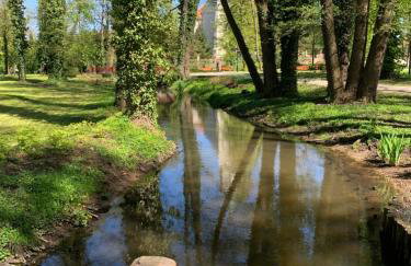 Przy Złotych Piaskach 1 - Foto 74