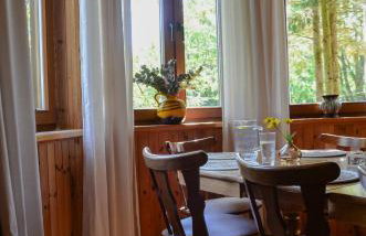 Rzeka i las - Photo 47